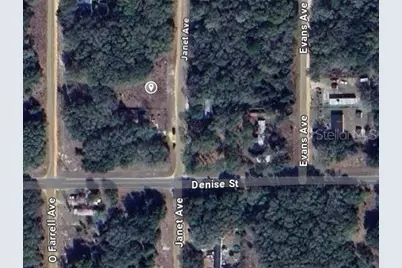 905 Janet Avenue, Interlachen, FL 32148 - Photo 2