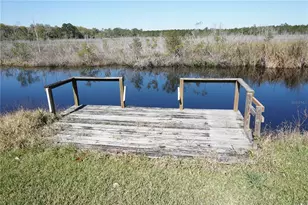 1764 SE 169th Avenue Rd, Silver Springs, FL 34488 - Photo 6