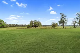 8521 NE 150th Ave, Williston, FL 32696 - Photo 66