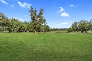 8521 NE 150th Ave, Williston, FL 32696 - Photo 54