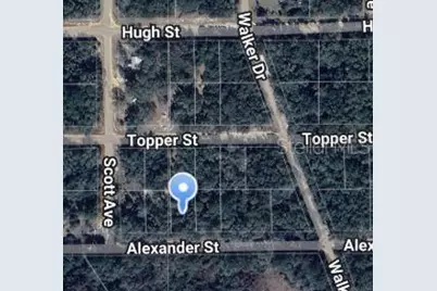 00 Alexander Street, Interlachen, FL 32148 - Photo 1