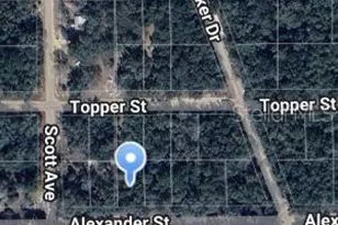 00 Alexander St, Interlachen, FL 32148 - Photo 1