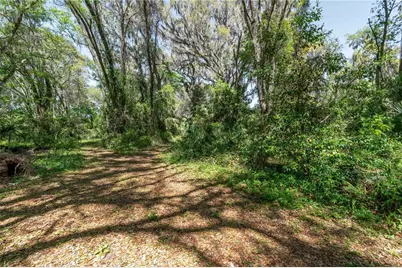 14100 NE 40th Court, Anthony, FL 32617 - Photo 20