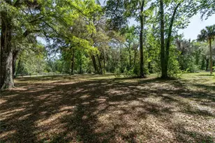 14100 NE 40th Ct, Anthony, FL 32617 - Photo 14