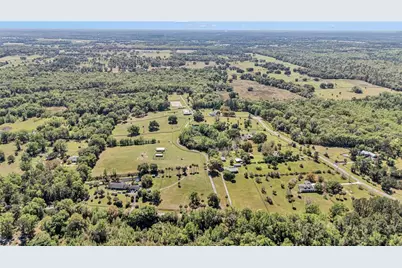 7000 NW Hwy 320, Micanopy, FL 32667 - Photo 94