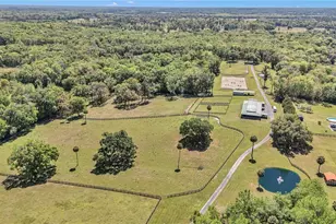 7000 NW Hwy 320, Micanopy, FL 32667 - Photo 68