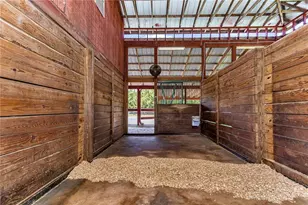 7000 NW Hwy 320, Micanopy, FL 32667 - Photo 70