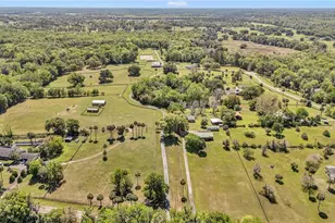 7000 NW Hwy 320, Micanopy, FL 32667 - Photo 4