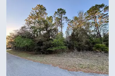 Lot 33 SW 97 Place, Dunnellon, FL 34431 - Photo 2