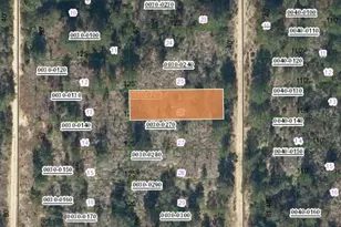 00 SW 57th Ave, Interlachen, FL 32148 - Photo 1