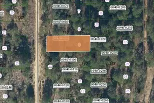 00 SW 57th Ave, Interlachen, FL 32148 - Photo 1