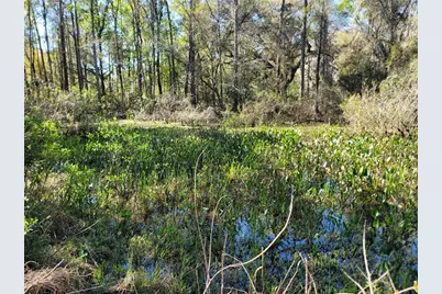 10851 SE 195th Street, Inglis, FL 34449 - Photo 22