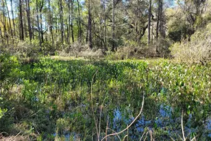 10851 SE 195th St, Inglis, FL 34449 - Photo 22