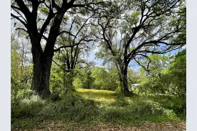 17400 NW 120th Ave Road, Reddick, FL 32686 - Photo 2