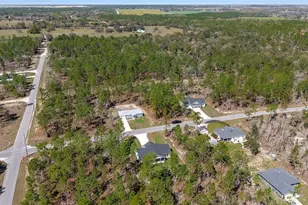 791 NE 150 Ave, Williston, FL 32696 - Photo 50