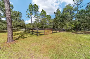 985 NW 73rd Terrace, Ocala, FL 34482 - Photo 16