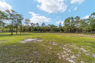 985 NW 73rd Terrace, Ocala, FL 34482 - Photo 60