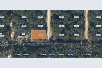 00 Donys Avenue, Interlachen, FL 32148 - Photo 1