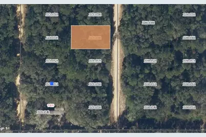 00 Donys Avenue, Interlachen, FL 32148 - Photo 1