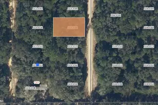 00 Donys Ave, Interlachen, FL 32148 - Photo 1