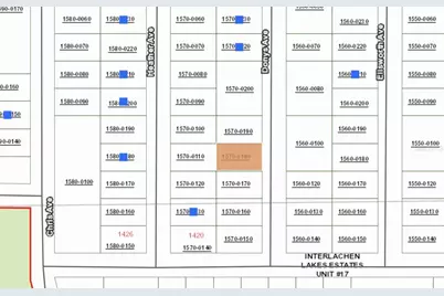 00 Donys Avenue, Interlachen, FL 32148 - Photo 2