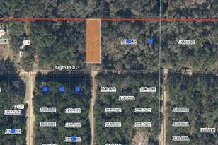 00 Sigman St, Interlachen, FL 32148 - Photo 1