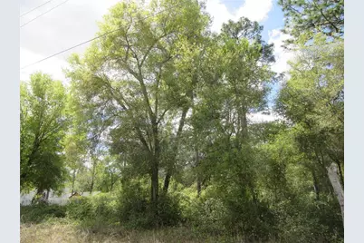 0 SE 180 Ave Road, Ocklawaha, FL 32179 - Photo 6