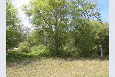 0 SE 180 Ave Road, Ocklawaha, FL 32179 - Photo 4