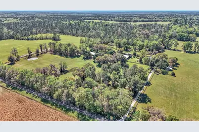 12490 NW Highway 320, Micanopy, FL 32667 - Photo 90