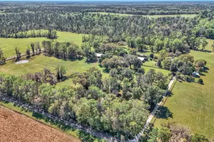 12490 NW Hwy 320, Micanopy, FL 32667 - Photo 90