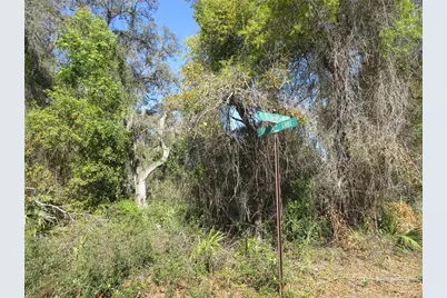 0 SE 188th Avenue, Silver Springs, FL 34488 - Photo 4