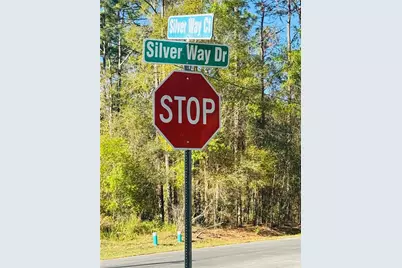 Silver Way Ct, Ocala, FL 34472 - Photo 4