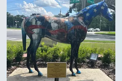 2218 NW 23rd Loop, Ocala, FL 34475 - Photo 18