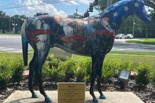 2218 NW 23rd Loop, Ocala, FL 34475 - Photo 18