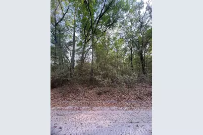 Tbd SW 150 Street, Dunnellon, FL 34432 - Photo 1