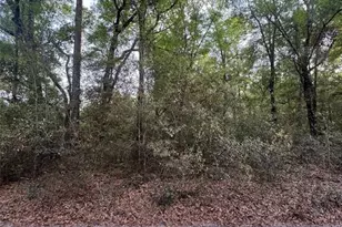 Tbd SW 150 St, Dunnellon, FL 34432 - Photo 1