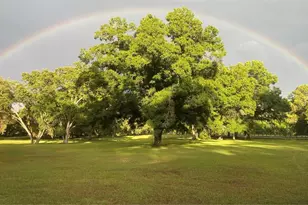 3 Carry Back Rd, Ocala, FL 34482 - Photo 30