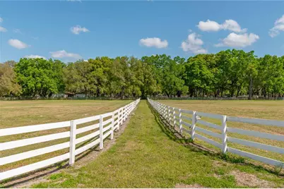 4450 SE 216th Avenue, Morriston, FL 32668 - Photo 12
