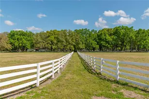 4450 SE 216 Ave, Morriston, FL 32668 - Photo 12