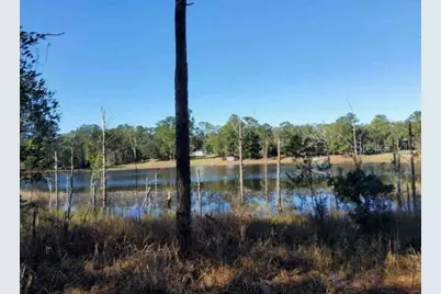 Lot 138 SE 168th Terrace, Ocklawaha, FL 32179 - Photo 2