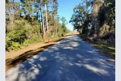 Lot 138 SE 168th Terrace, Ocklawaha, FL 32179 - Photo 4