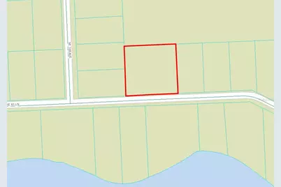 Se 63 Lane, Ocklawaha, FL 32179 - Photo 1