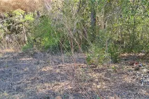 3844 E Crystal Ln, Inverness, FL 34452 - Photo 1