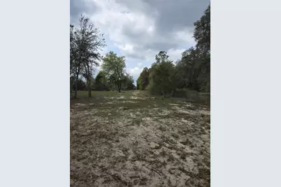 180 SE 165th Court Road, Silver Springs, FL 34488 - Photo 4