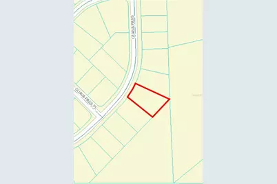 164 Guava Pass, Ocklawaha, FL 32179 - Photo 4