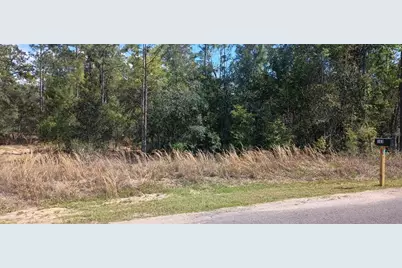 164 Guava Pass, Ocklawaha, FL 32179 - Photo 1