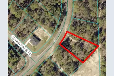 164 Guava Pass, Ocklawaha, FL 32179 - Photo 2