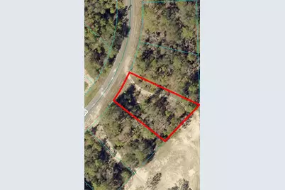 164 Guava Pass, Ocklawaha, FL 32179 - Photo 6