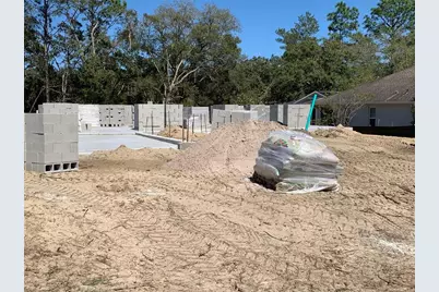 5647 N Summerfield Point, Citrus Springs, FL 34434 - Photo 4