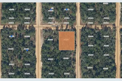 00 Shappell Avenue, Interlachen, FL 32148 - Photo 1